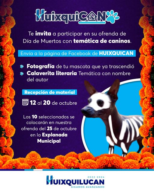 1697203479 352 ¡Participa