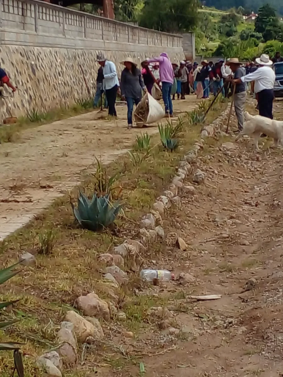 1697301415 214 Companeros de Ecologia trabajan para mantener en condiciones optimas los