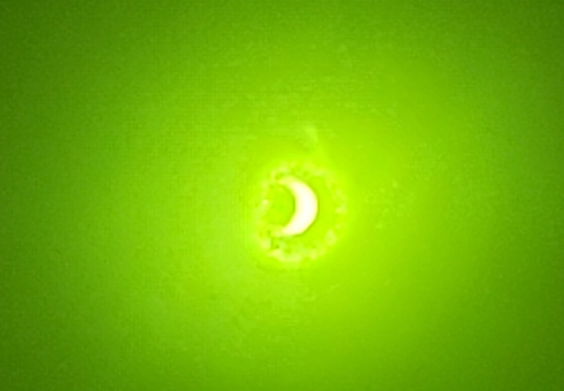 1697310590 125 Eclipse solar desde Tenango del Aire