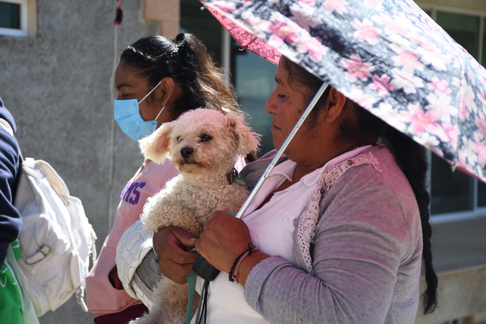 1697315586 617 Gracias por cuidar de tus mascotas en La Huanica celebramos