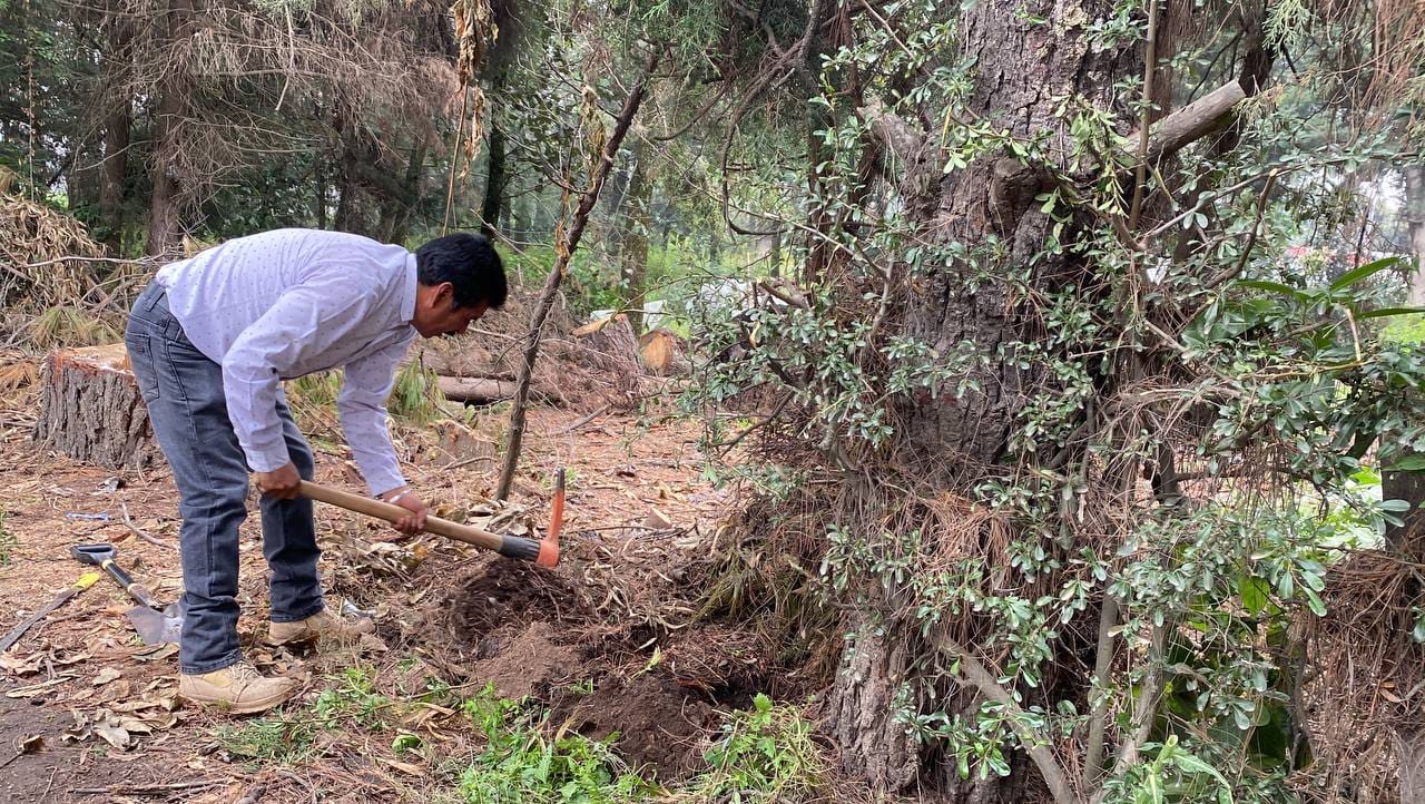 1697316868 152 La Primer Regiduria en conjunto con la Coordinacion de Ecologia