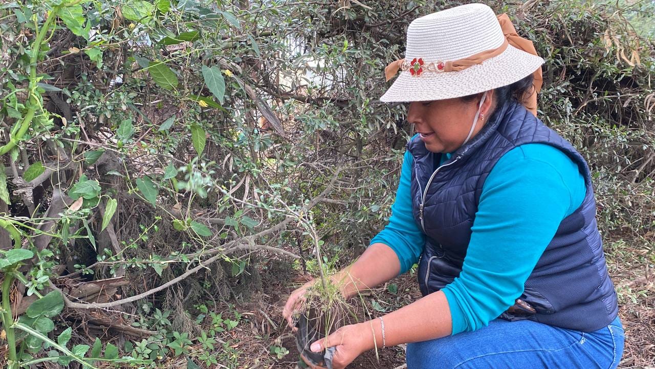 1697316877 611 La Primer Regiduria en conjunto con la Coordinacion de Ecologia