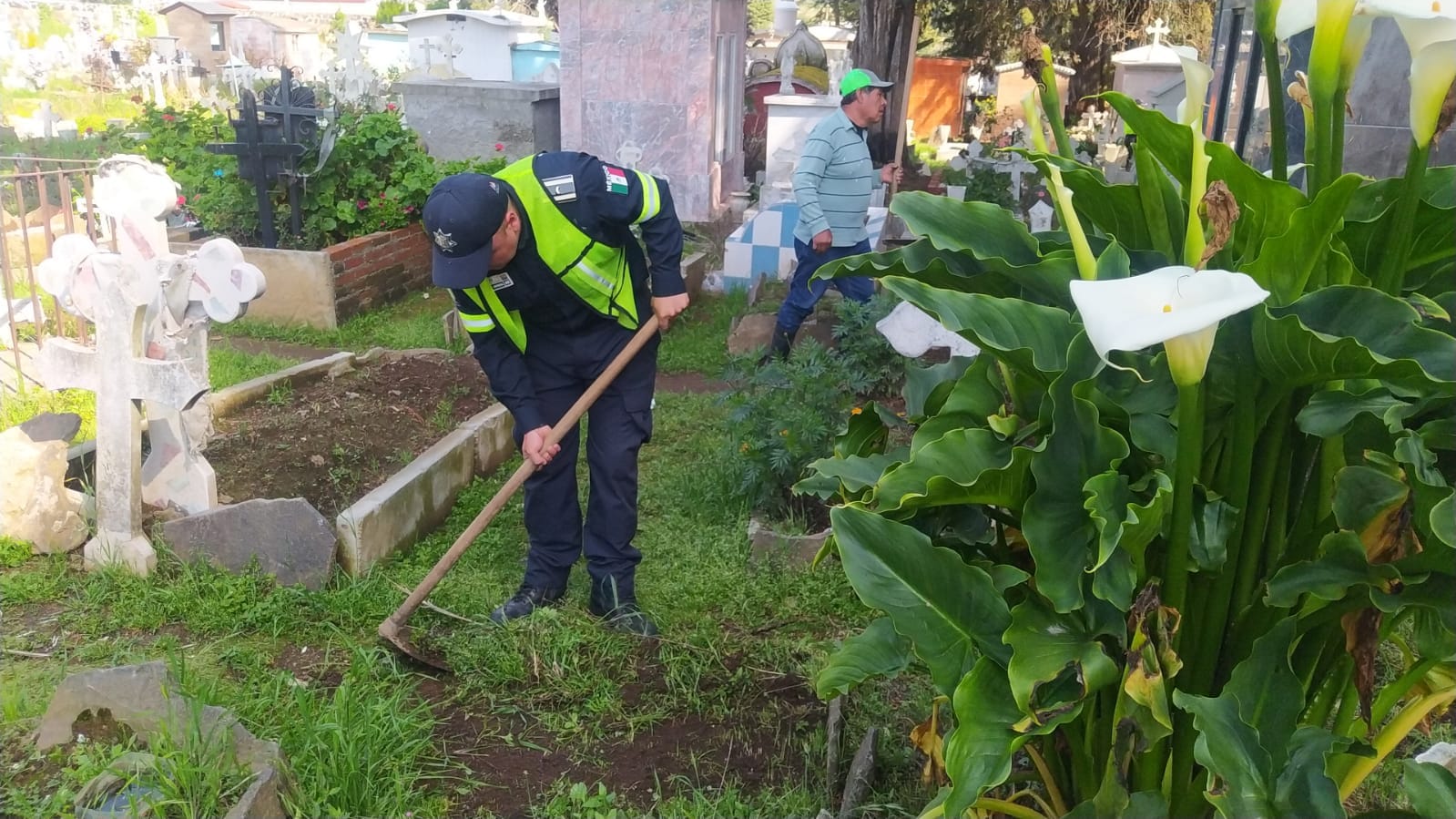 1697318791 845 Esta manana se realizo una faena en el panteon de