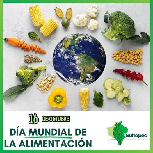 1697469913 Hoy celebramos el Dia Mundial de la Alimentacion en el jpg