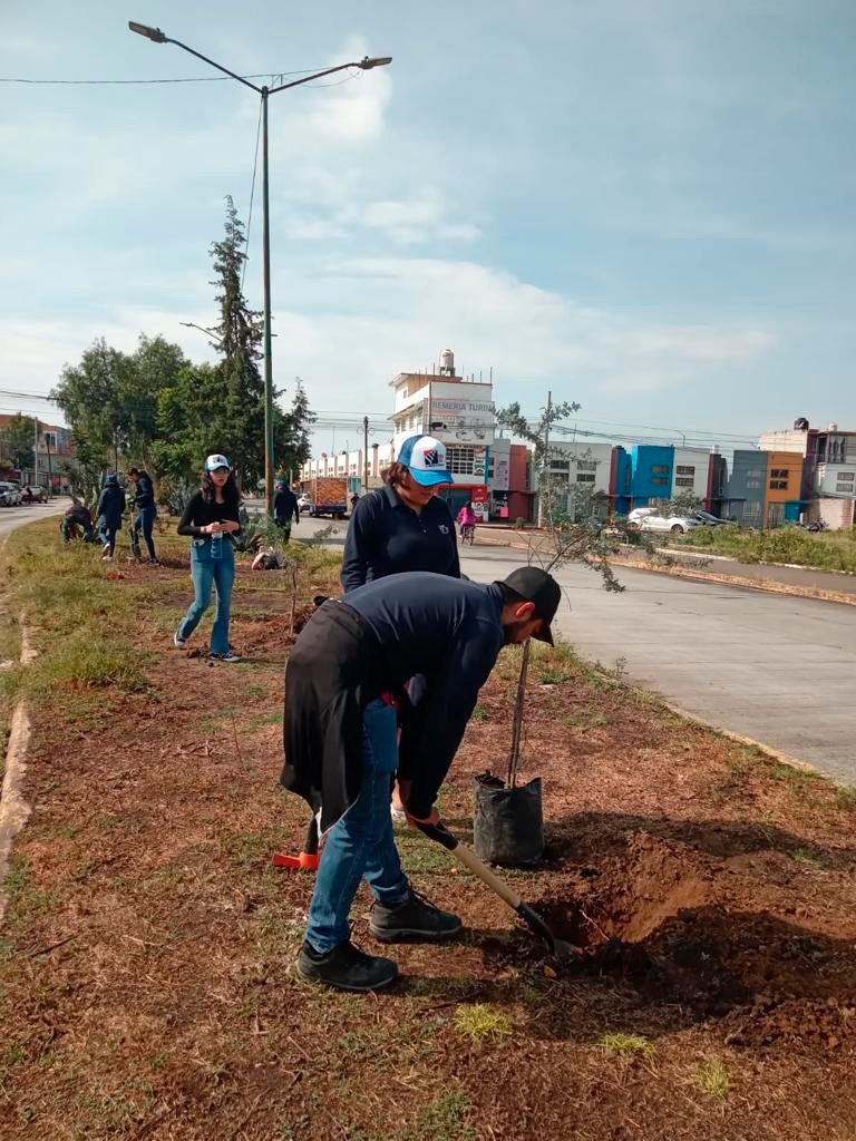 1697476207 626 Cada arbol plantado es un paso hacia un futuro mas