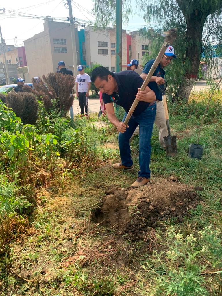 1697476219 691 Cada arbol plantado es un paso hacia un futuro mas