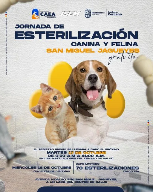 1697497660 JORNADA DE ESTERILIZACION CANINA Y FELINA El Gobierno de jpg