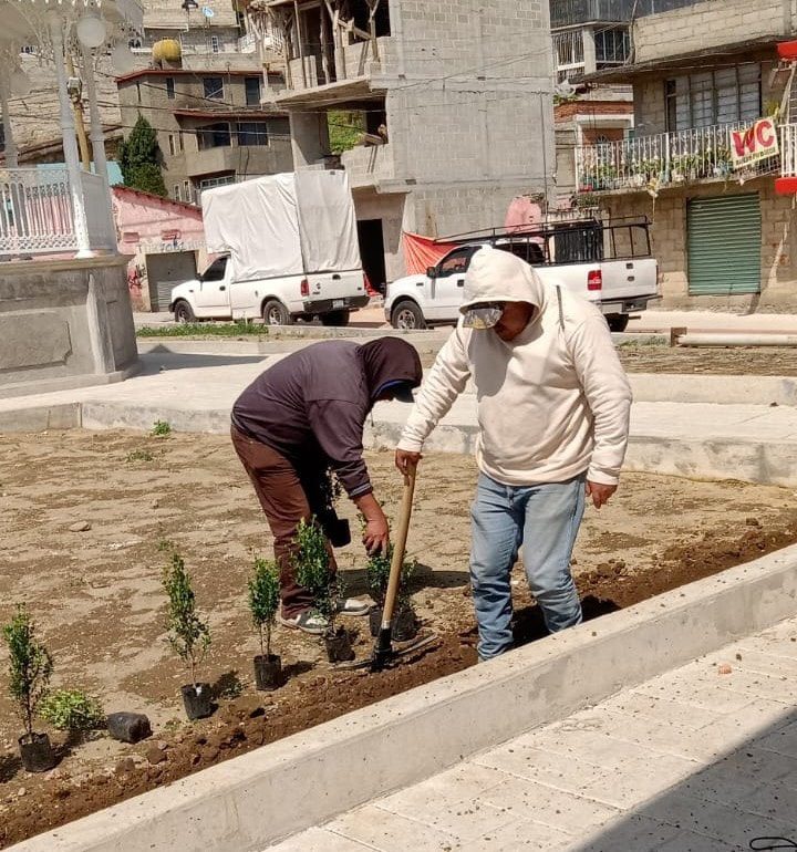 1697575339 593 Hoy nuestra brigada de la Direccion de Medio Ambiente en