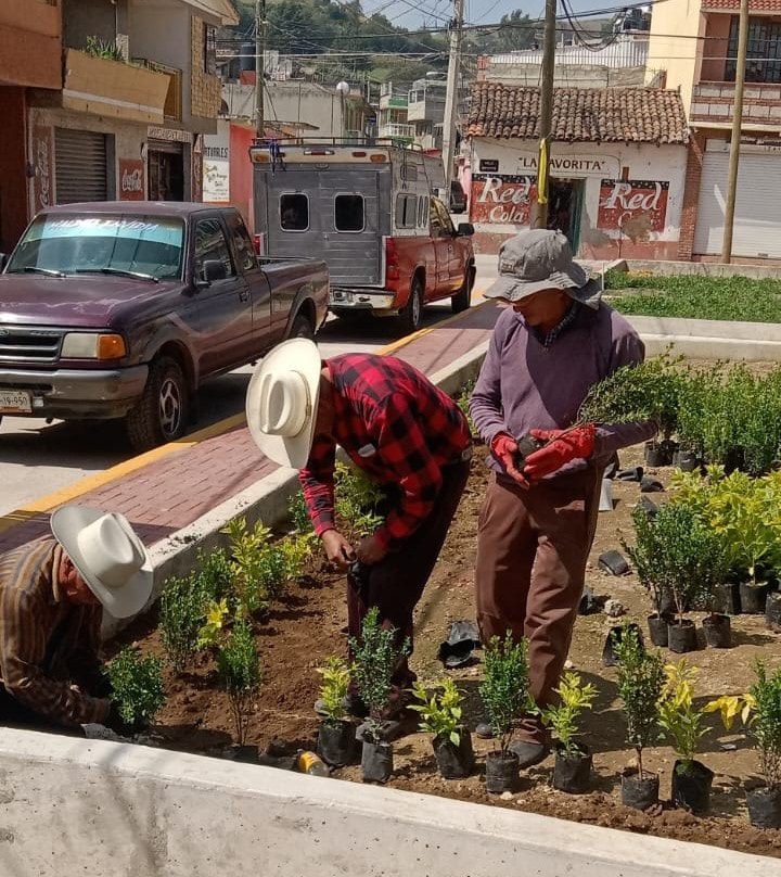 1697575345 103 Hoy nuestra brigada de la Direccion de Medio Ambiente en