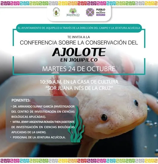 1697583740 Acude a la conferencia sobre la conservacion del ajolote y jpg