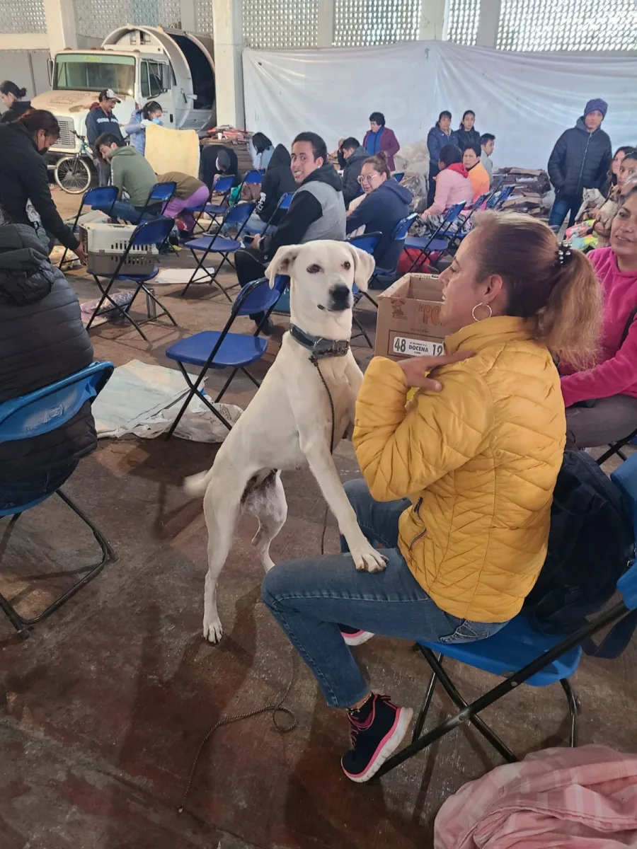 1697583833 El Gobierno Municipal de Jaltenco que preside la C Rosario