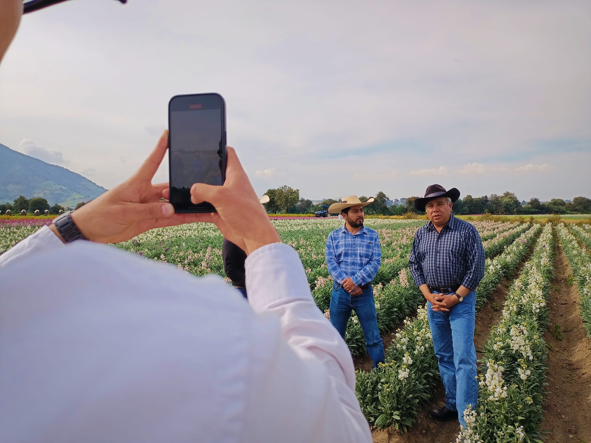 1697632768 63 Los campos de Putla se pintan de naranja en esta