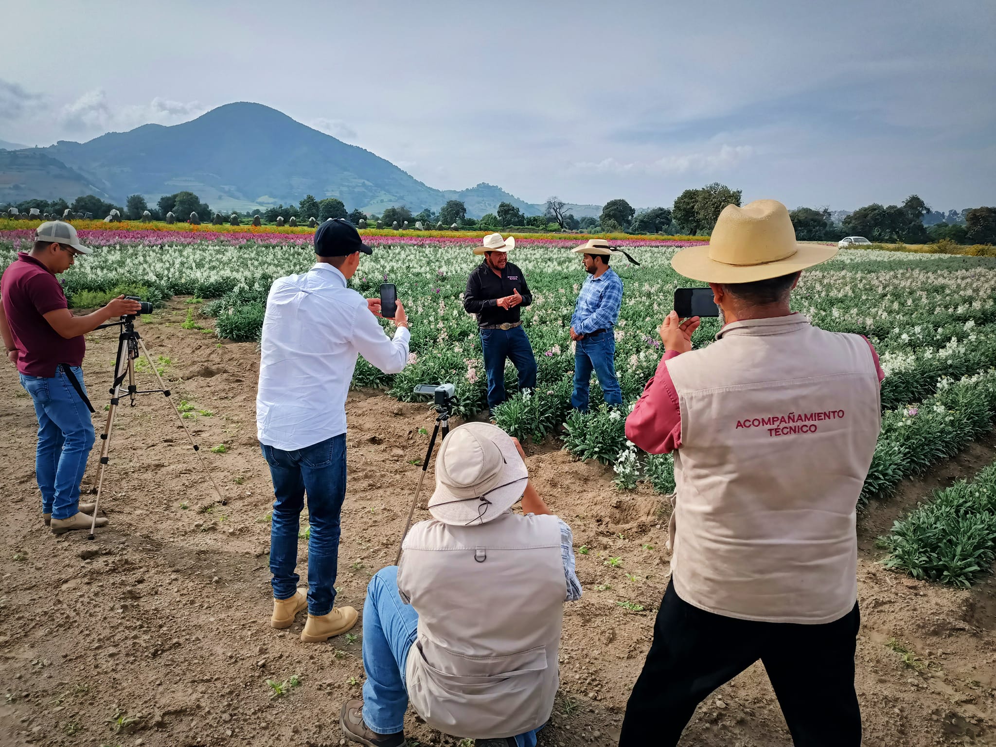 1697632774 623 Los campos de Putla se pintan de naranja en esta