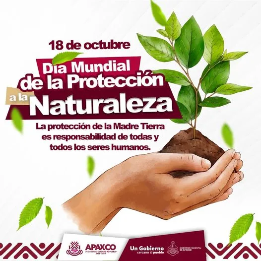 1697635290 El objetivo del Dia Mundial de la proteccion de la jpg