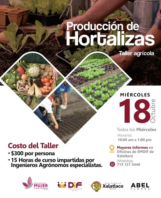 1697643326 Todos los miercoles Taller de Produccion de Hortalizas jpg