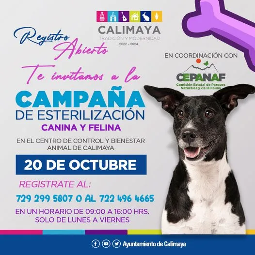 1697664038 IMPORTANTE EL REGISTRO ES PARA UNA MASCOTA Se parte de jpg