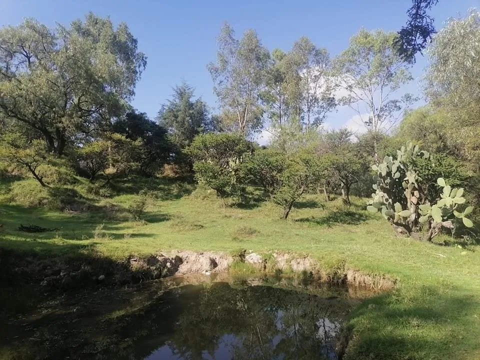 1697736686 Santa Maria Cuevas Hermoso pueblo originario su tranquilidad su gente jpg