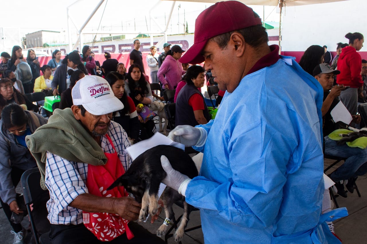 1697749901 481 ESTERILIZAN 200 PERROS Y GATOS EN DEPORTIVO HERREROS DE CHIMALHUACAN