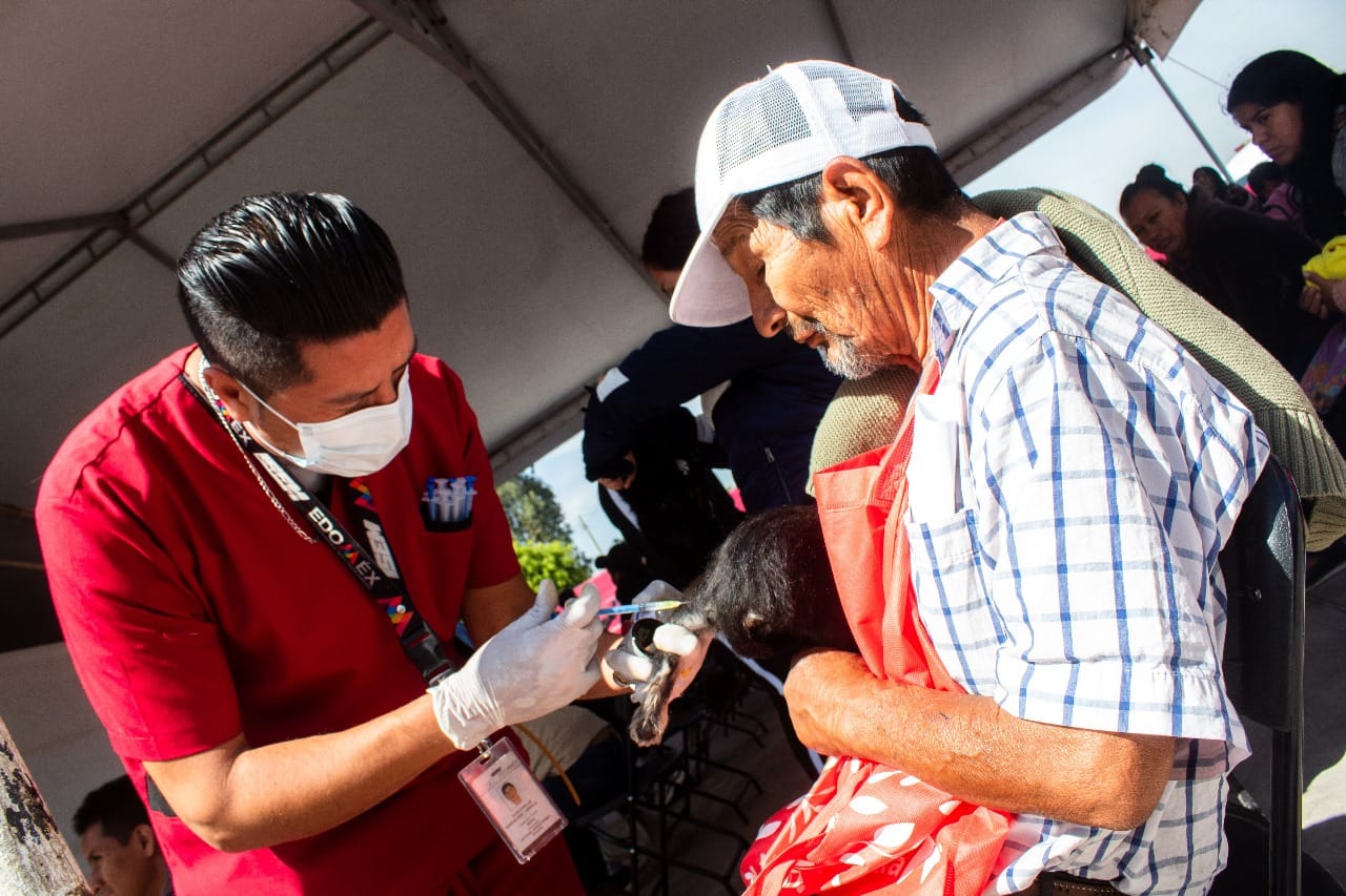 1697749914 954 ESTERILIZAN 200 PERROS Y GATOS EN DEPORTIVO HERREROS DE CHIMALHUACAN