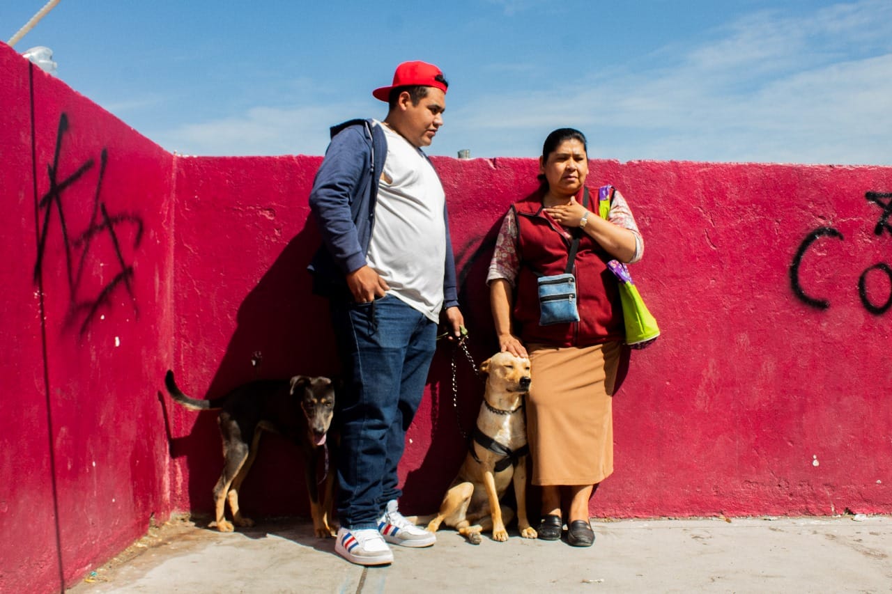 1697749920 983 ESTERILIZAN 200 PERROS Y GATOS EN DEPORTIVO HERREROS DE CHIMALHUACAN