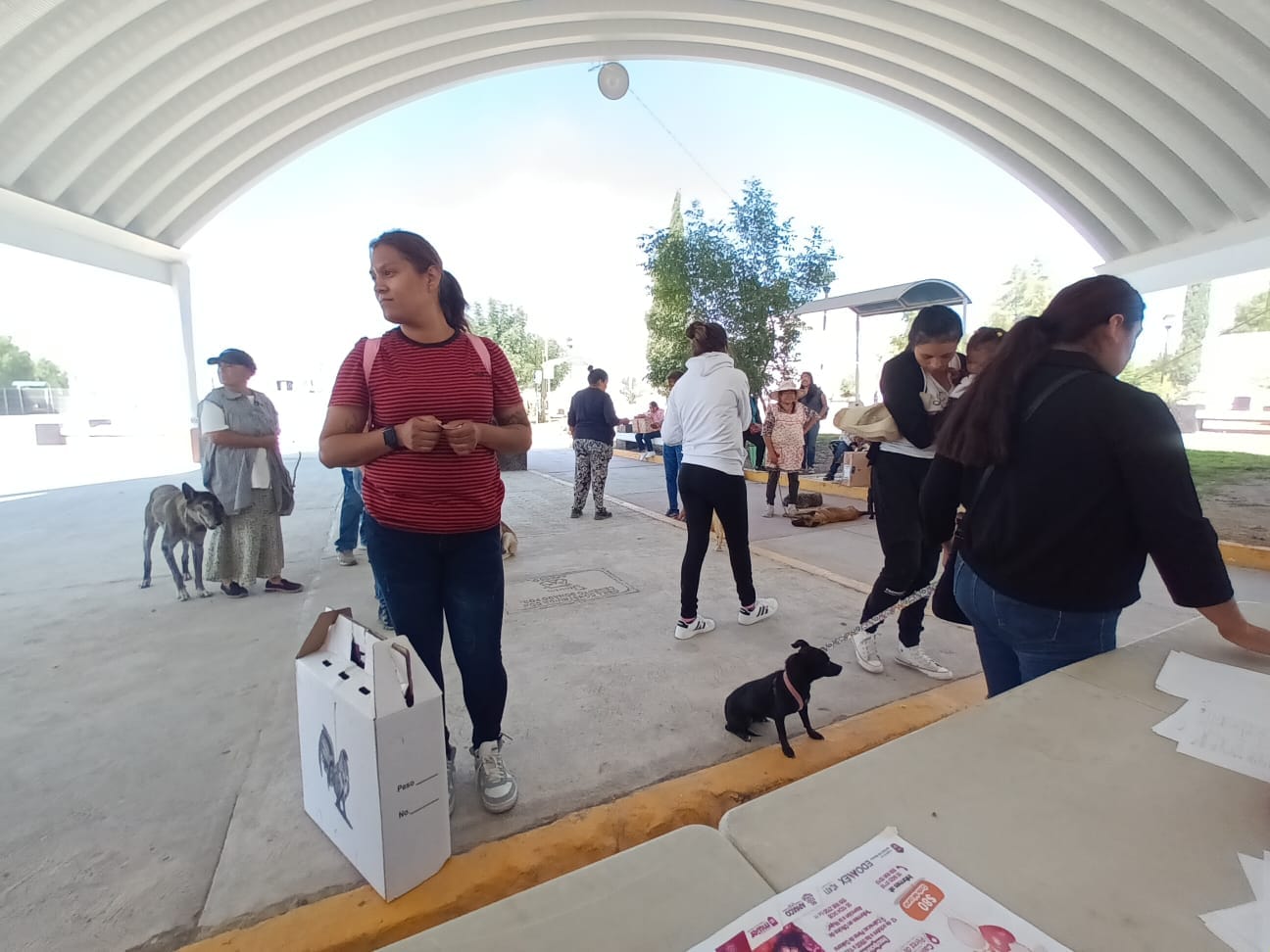 1697750856 694 ESTERILIZAMOS GATOS Y PERROS DE PEREZ DE GALEANA