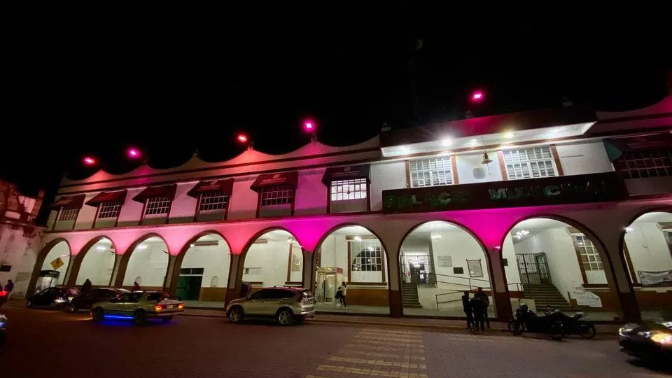 1697804695 El Palacio Municipal se ilumina de rosa con motivo del jpg