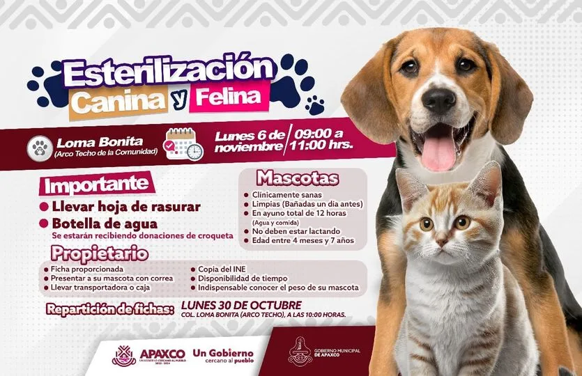 1697829999 EN LOMA BONITA ESTERILIZACION CANINA Y FELINA jpg