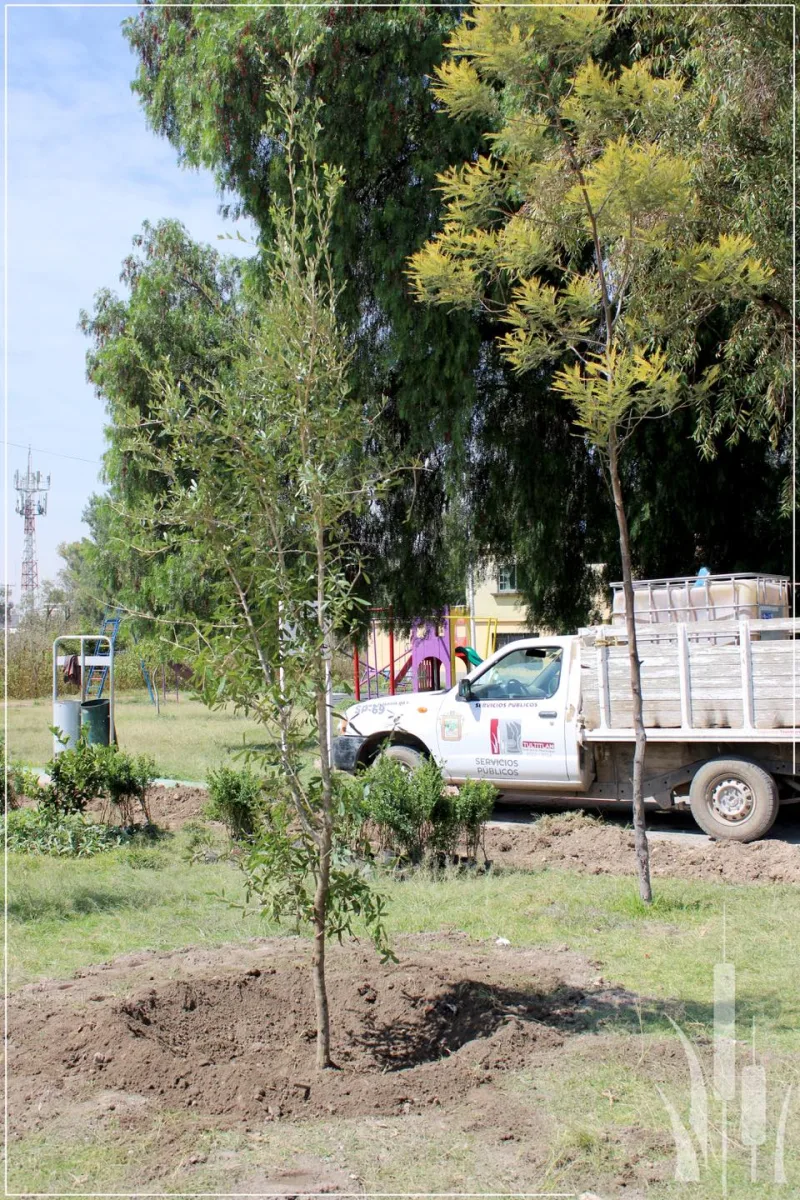 1697831007 526 En conjunto con Servicios Publicos Tultitlan