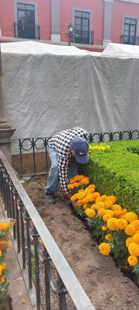 1697841937 398 Ante la celebracion de Dia de Muertos estamos decorando con