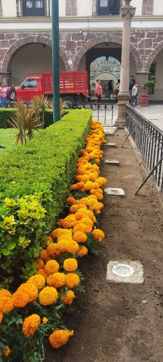 1697841948 72 Ante la celebracion de Dia de Muertos estamos decorando con