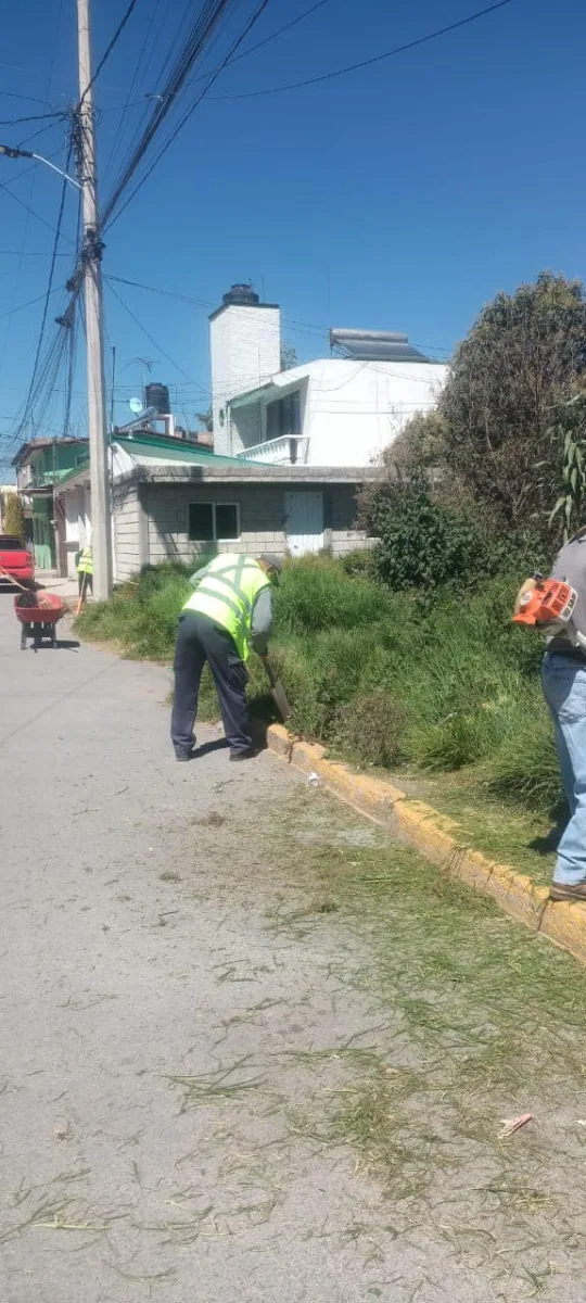 1697892846 310 Realizamos poda para la liberacion de via publica Invitamos a