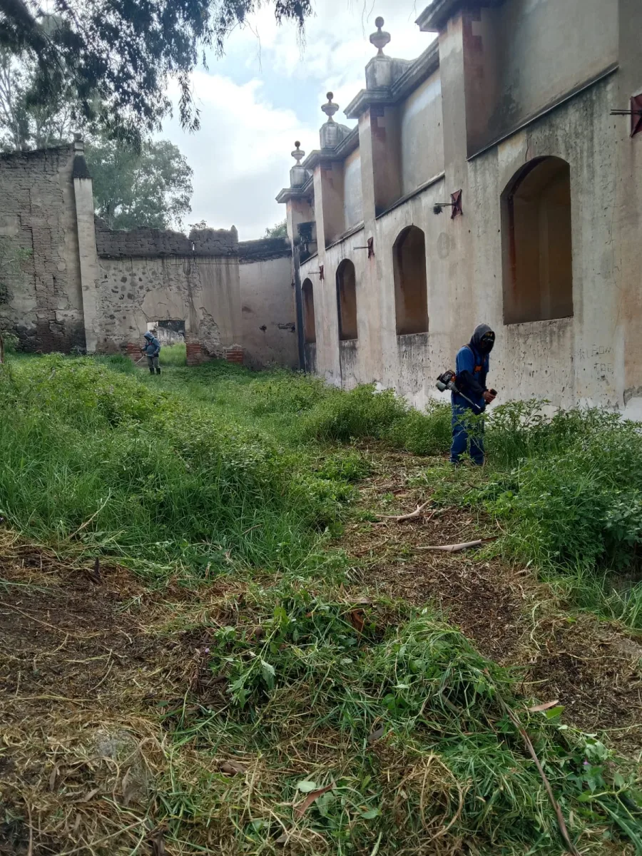 1698079427 El Ayuntamiento de Texcoco realiza la poda y mantenimiento de