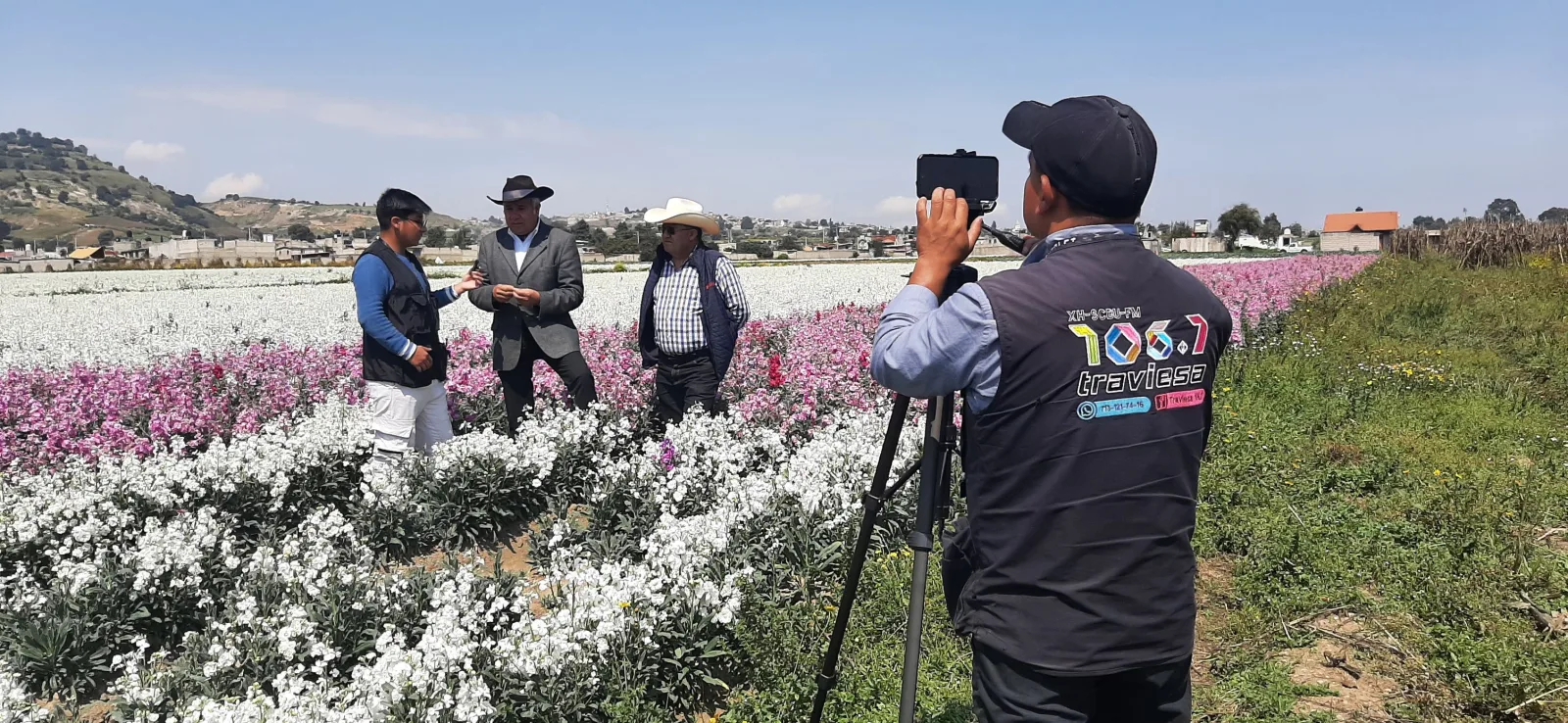 1698086920 Los productores de flor de temporada en San Francisco Putla scaled