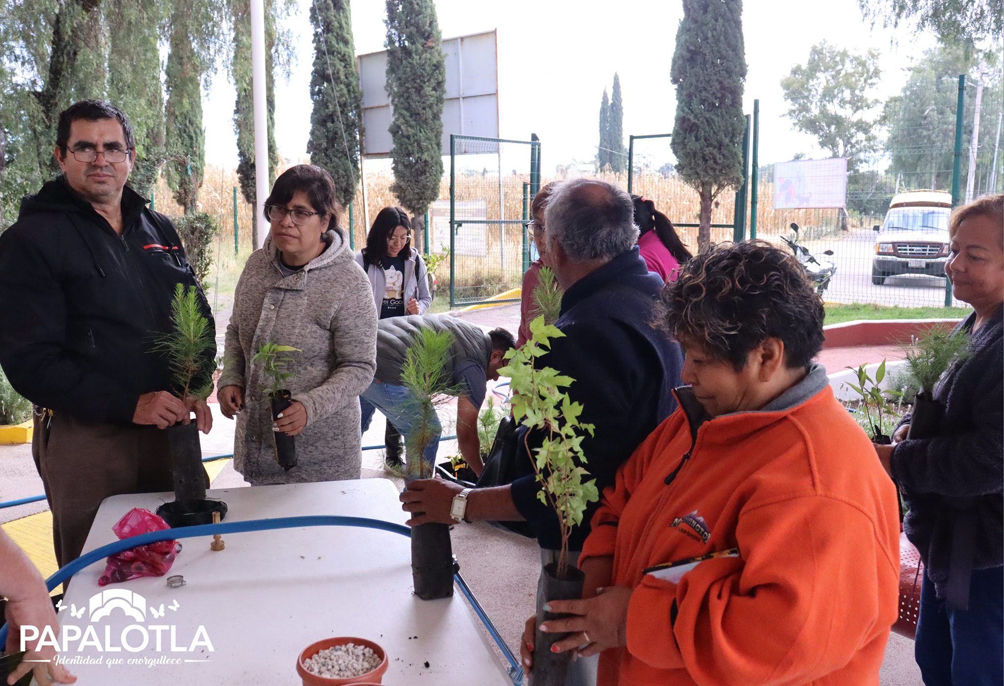 1698091958 232 comienzo Primera Practica introductoria al Bonsai donde las y