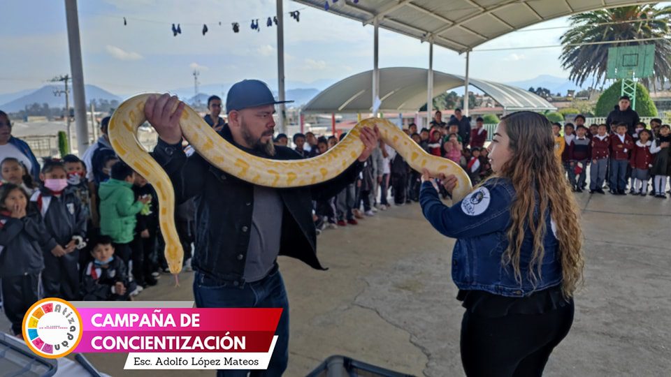 1698096589 550 Fomentar la conciencia sobre el cuidado de los animales en