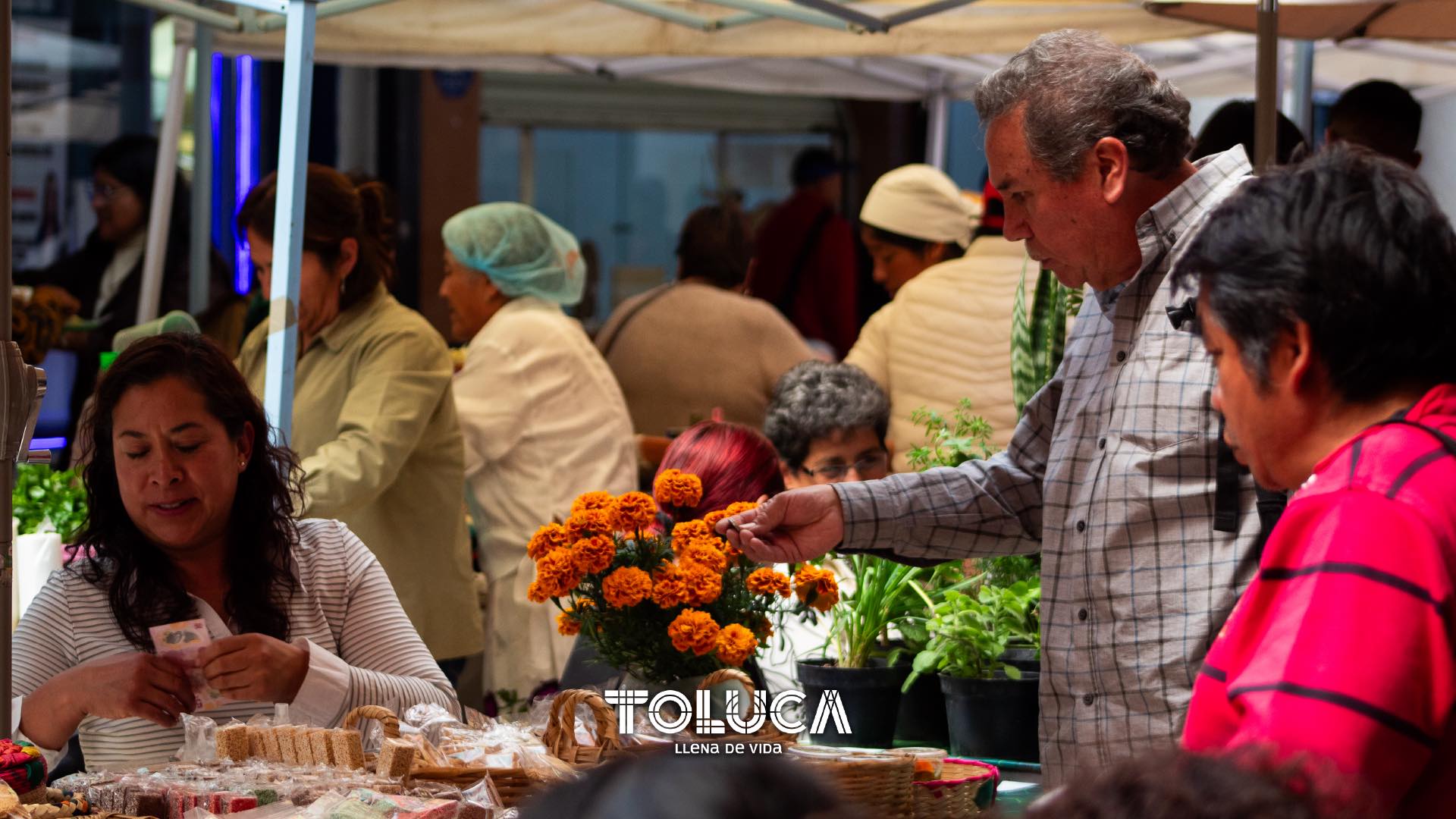 1698101054 665 ¡Los productos mas frescos y de mejor calidad solo los