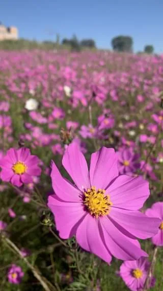 1698159565 ¡Feliz martes Antes de salir de casa recuerden consultar el jpg