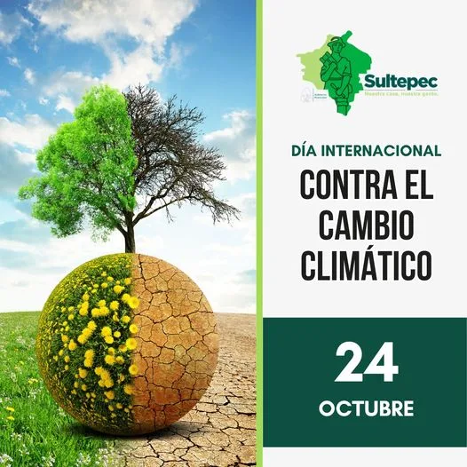 1698161548 Hoy celebramos el Dia Internacional contra el Cambio Climatico El jpg