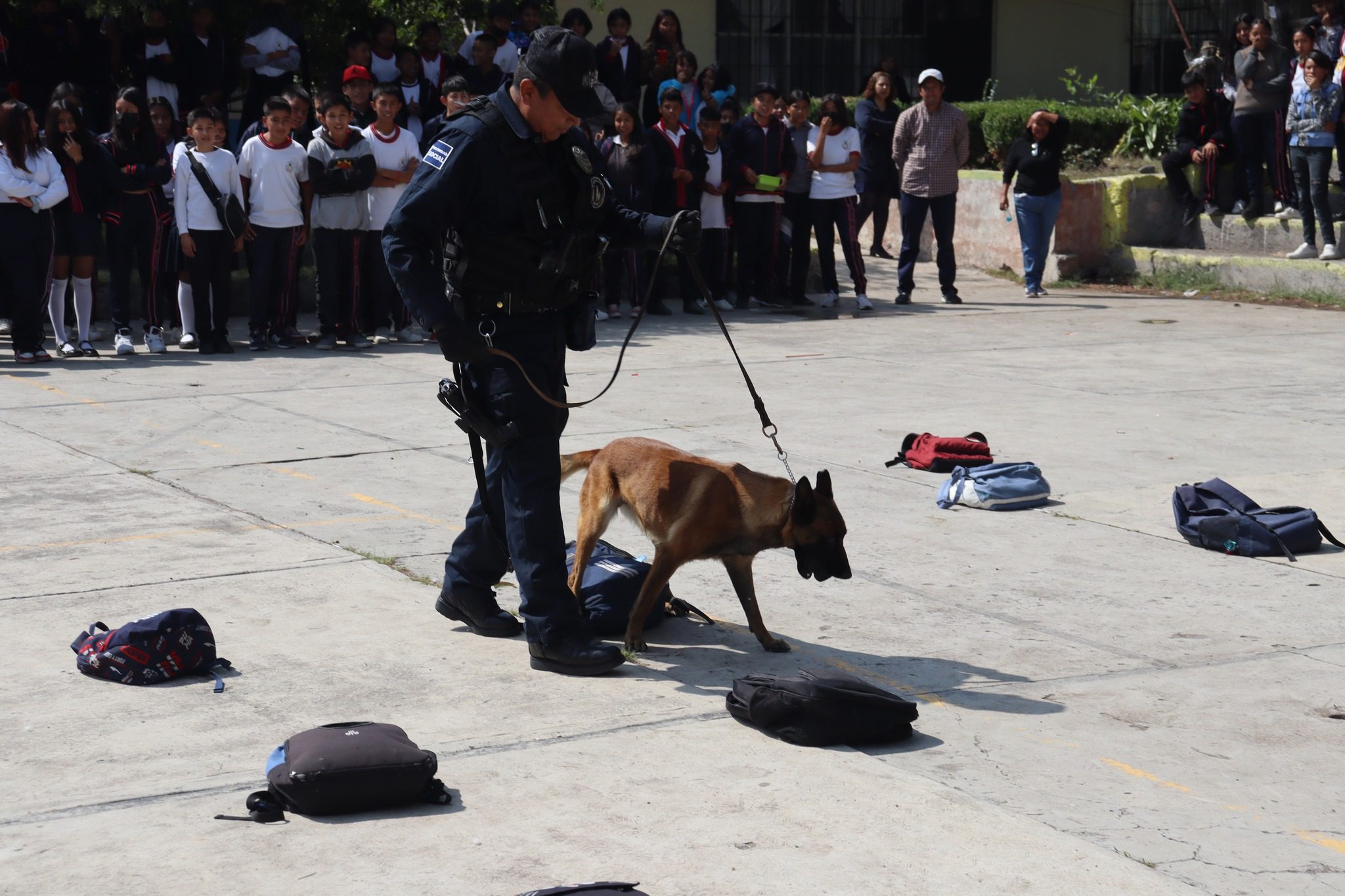 1698180482 97 Exposicion Canina en Teoloyucan ¡Educacion Compromiso y Prevencion El H