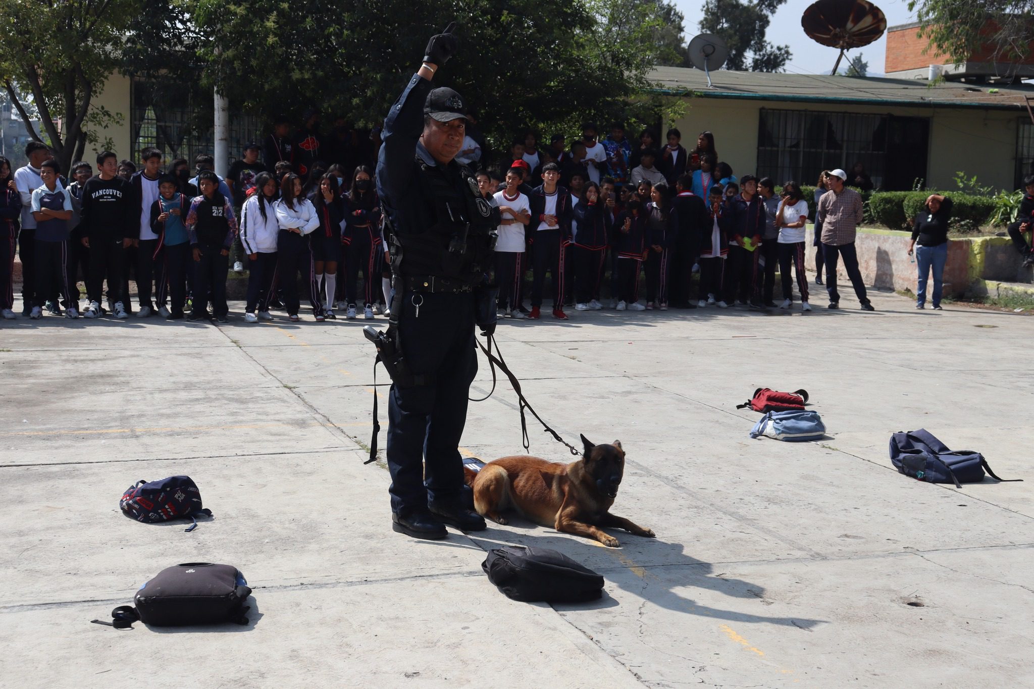 1698180489 428 Exposicion Canina en Teoloyucan ¡Educacion Compromiso y Prevencion El H