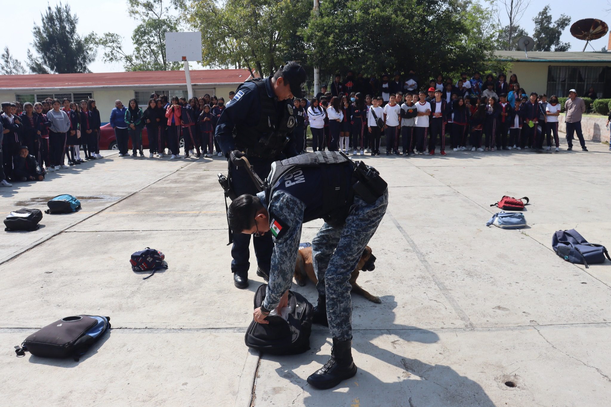 1698180496 244 Exposicion Canina en Teoloyucan ¡Educacion Compromiso y Prevencion El H