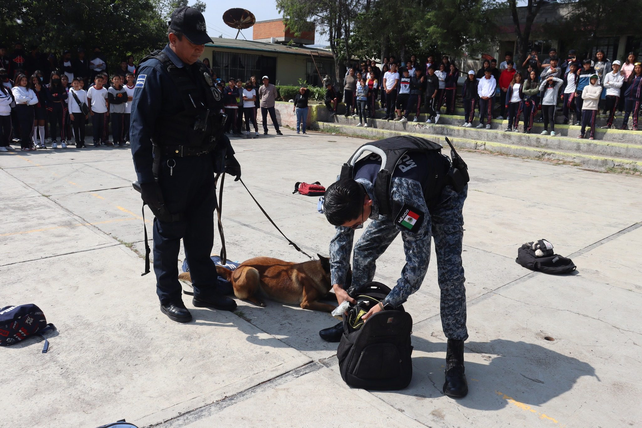 1698180502 534 Exposicion Canina en Teoloyucan ¡Educacion Compromiso y Prevencion El H