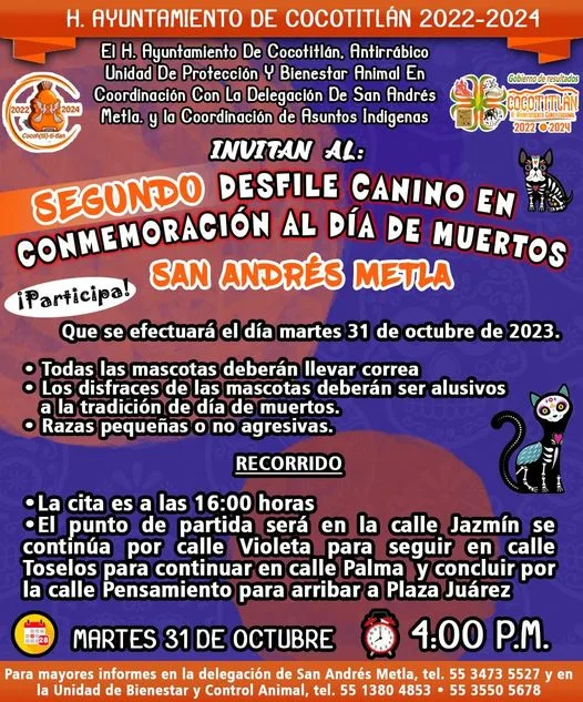 1698239965 Mediante la presente convocatoria invitamos a que participen con sus jpg