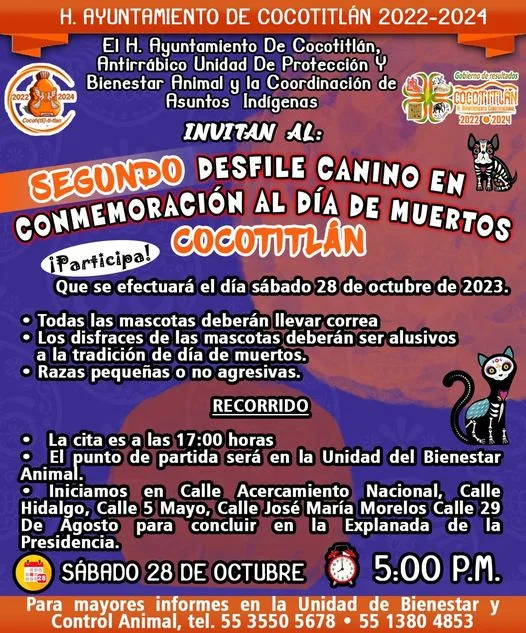 1698247210 Mediante la presente convocatoria invitamos a que participen con sus jpg