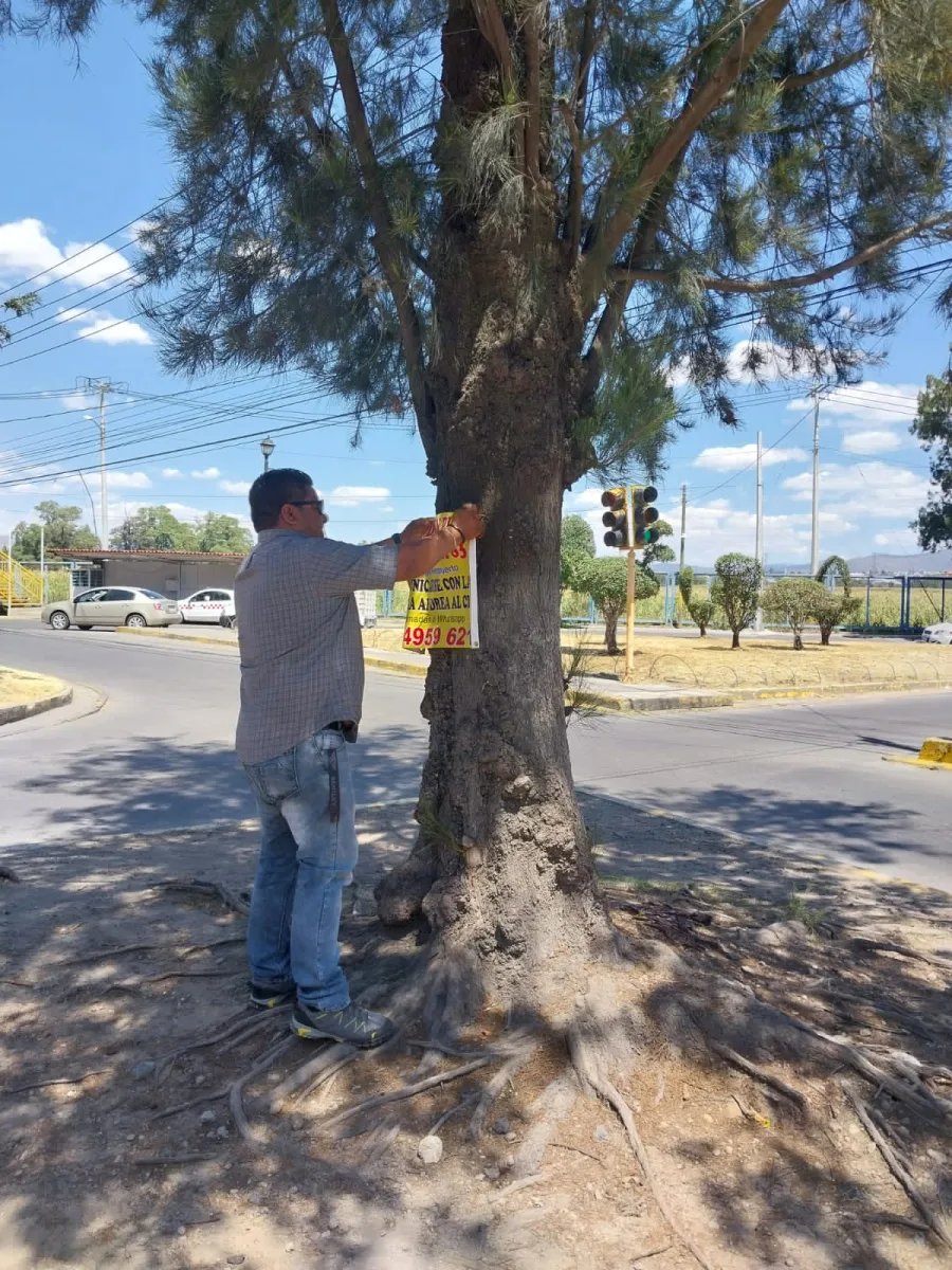 1698252269 748 El Ayuntamiento de Texcoco realiza la remocion de carteles y