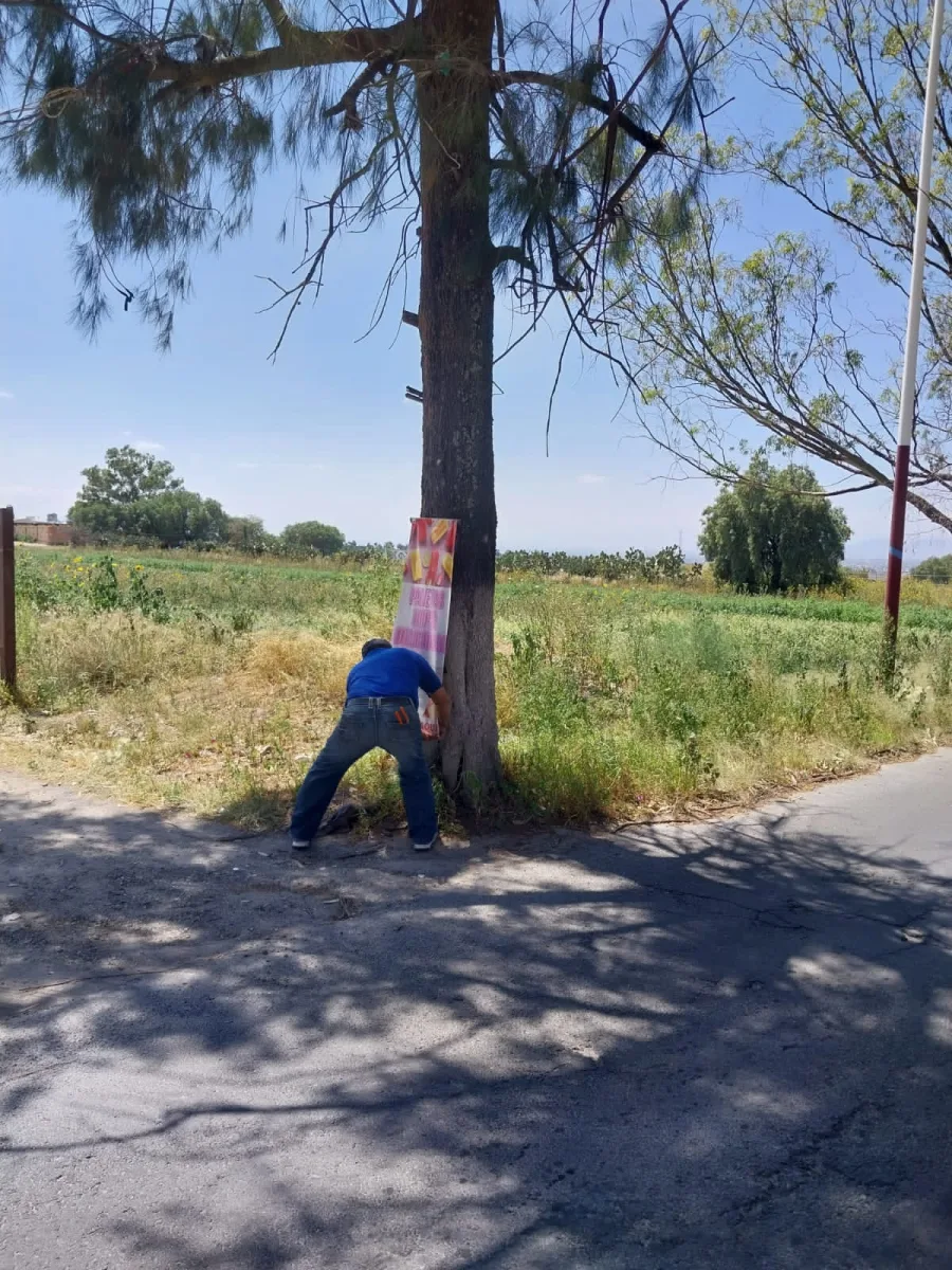 1698252295 El Ayuntamiento de Texcoco realiza la remocion de carteles y