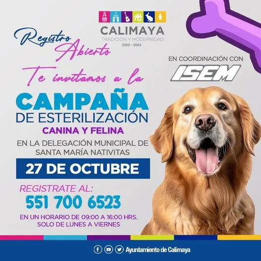 1698254678 IMPORTANTE EL REGISTRO ES PARA UNA MASCOTA jpg