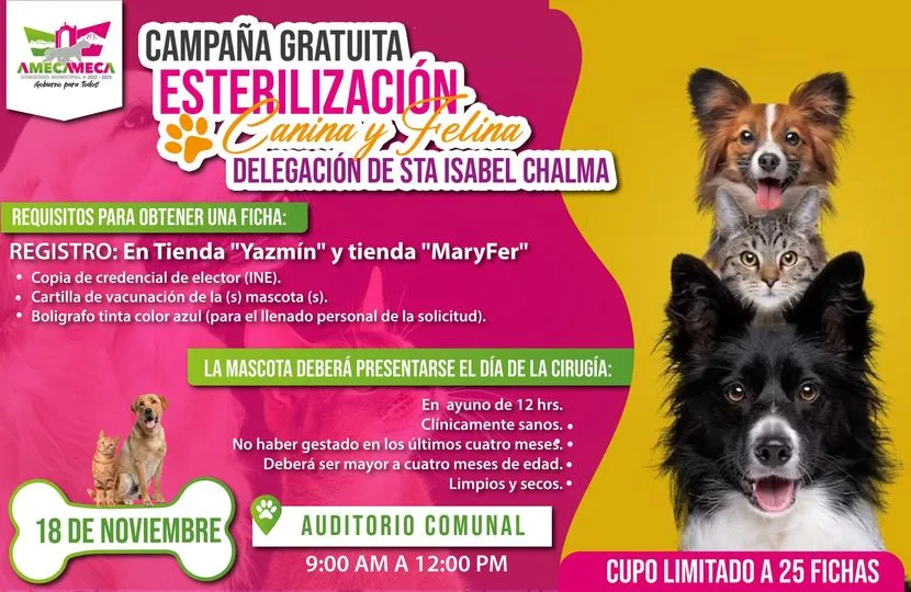 1698266108 ATENCION delegacion de Chalma El gobierno de Amecameca te invita jpg