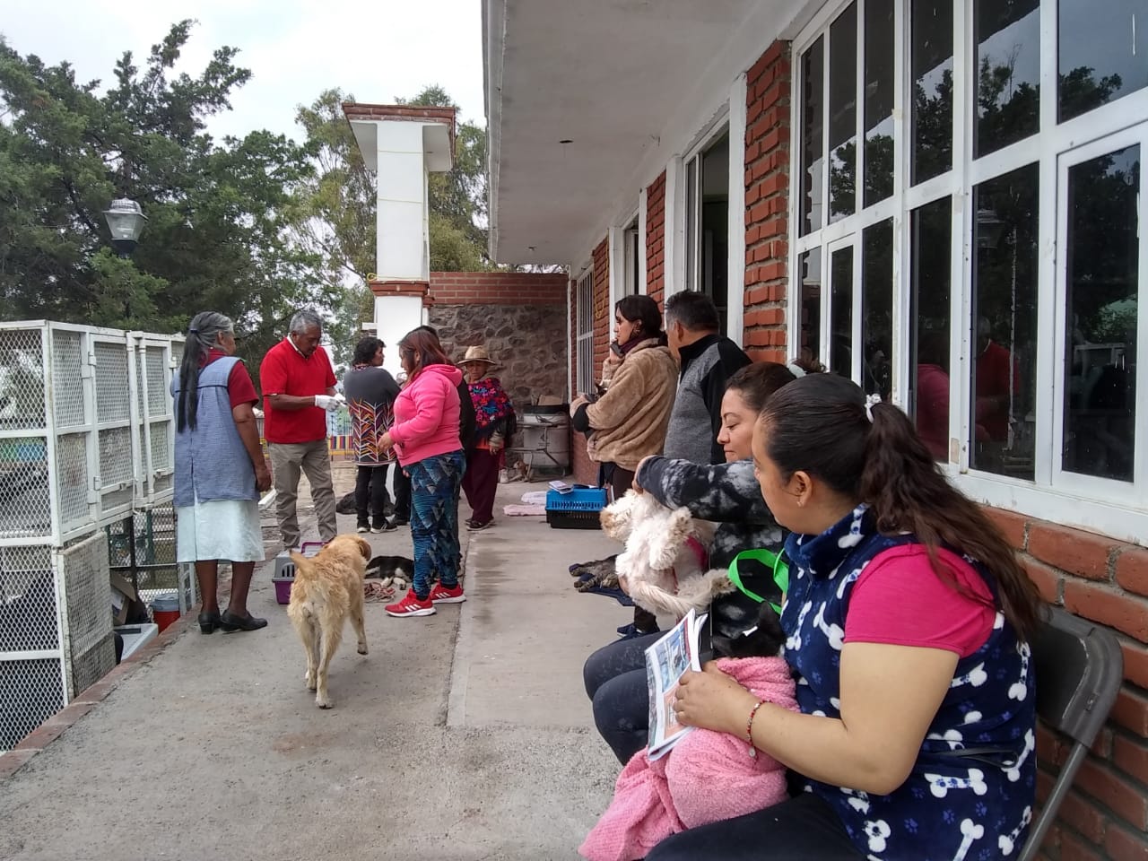 1698274198 191 Finalizamos este dia de esterilizacion gratuita en la comunidad de