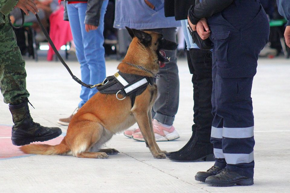 1698324942 877 La Direccion de Seguridad Publica de Otumba realizo una actividad